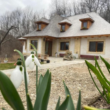발레니드몬티 Casa Cu Sindrila 빌라 외부 사진