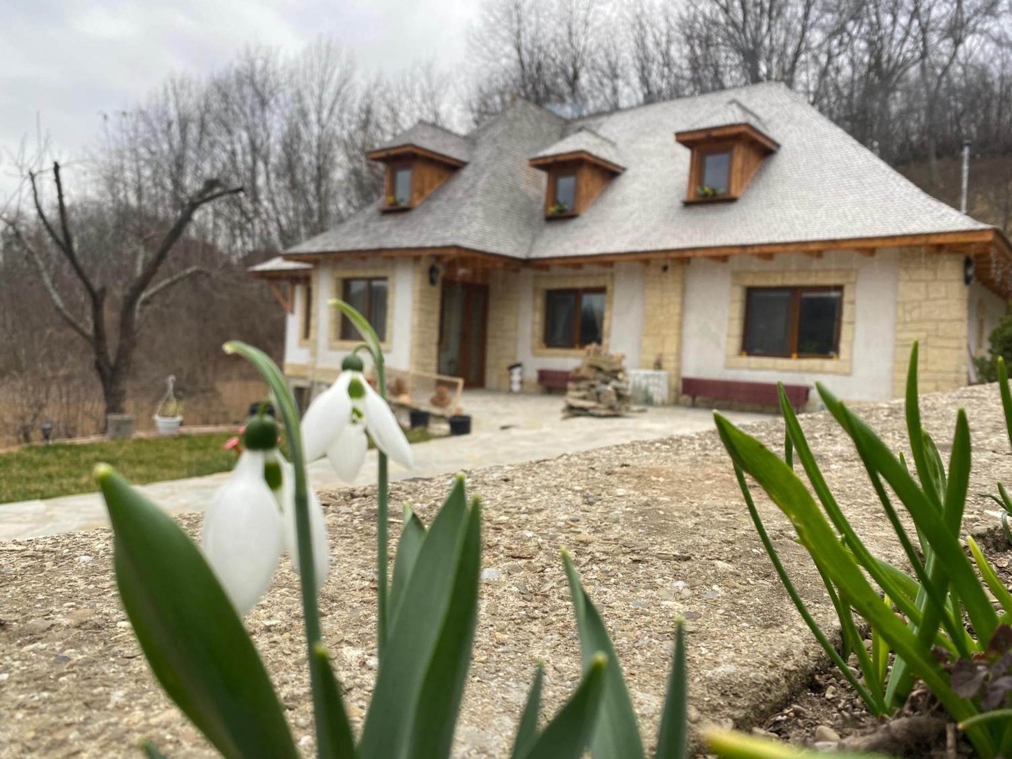 발레니드몬티 Casa Cu Sindrila 빌라 외부 사진