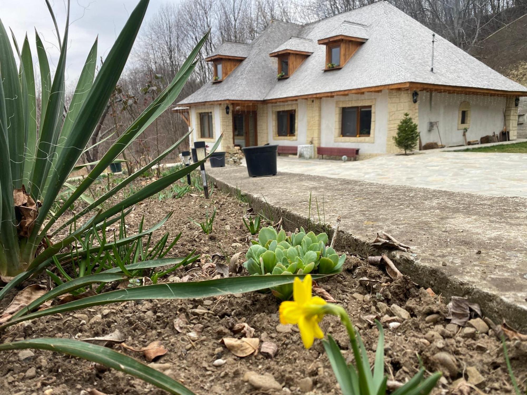 발레니드몬티 Casa Cu Sindrila 빌라 외부 사진