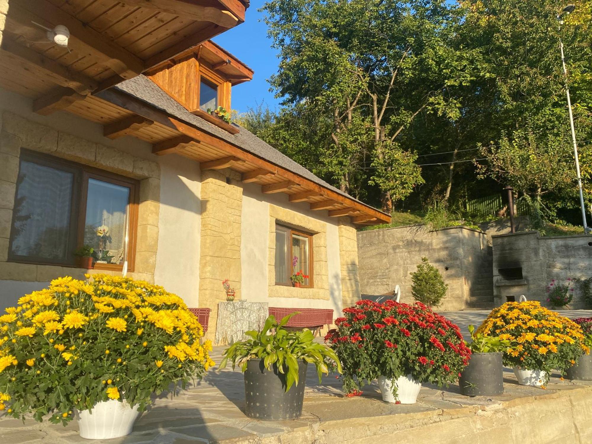 발레니드몬티 Casa Cu Sindrila 빌라 외부 사진