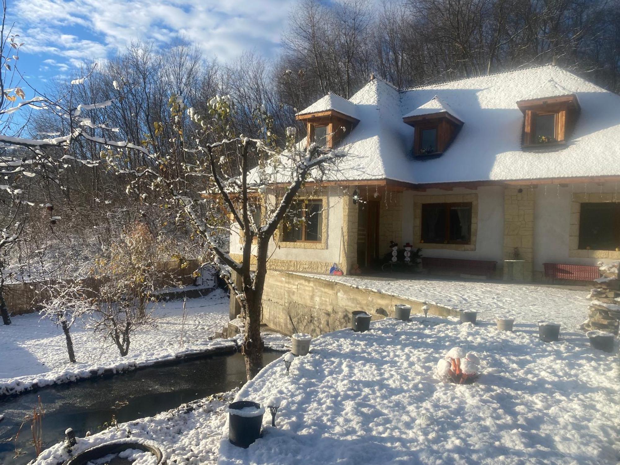 발레니드몬티 Casa Cu Sindrila 빌라 외부 사진