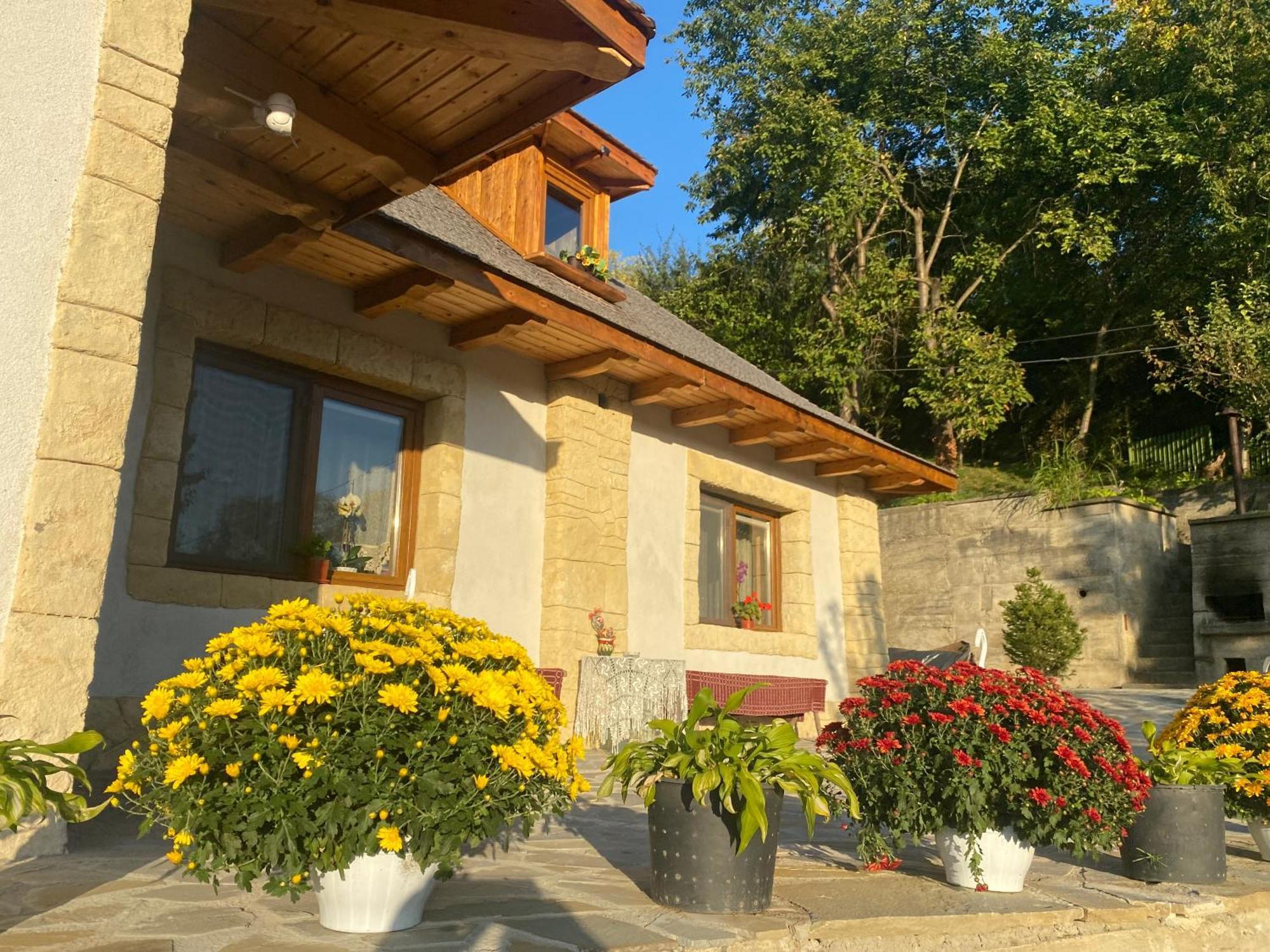 발레니드몬티 Casa Cu Sindrila 빌라 외부 사진