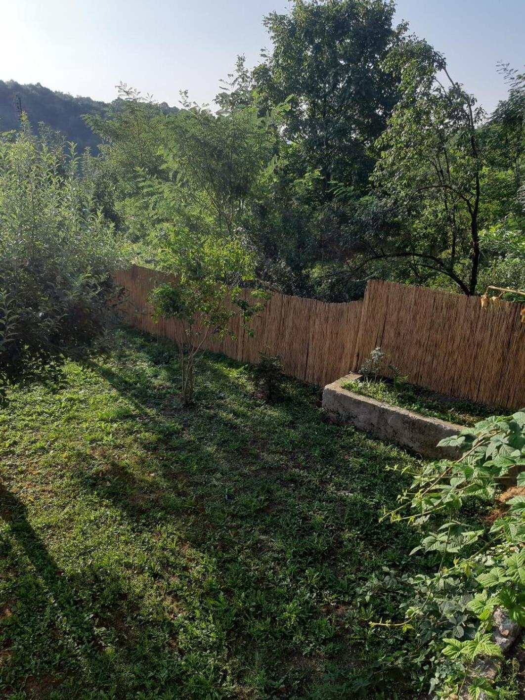 발레니드몬티 Casa Cu Sindrila 빌라 외부 사진