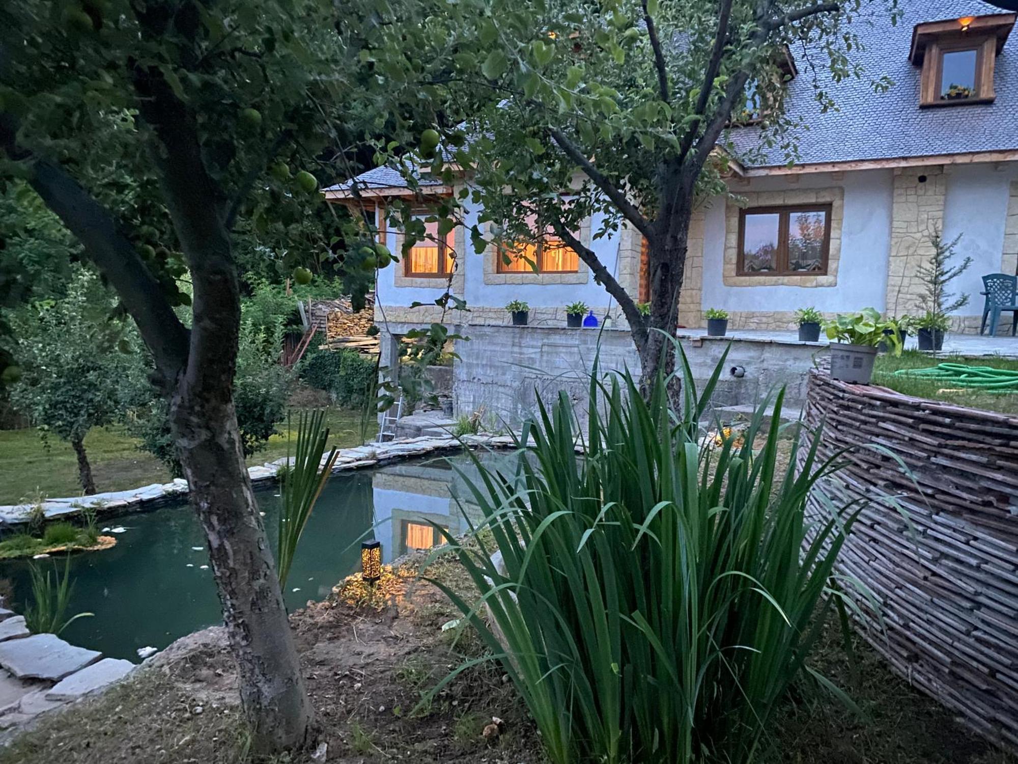 발레니드몬티 Casa Cu Sindrila 빌라 외부 사진